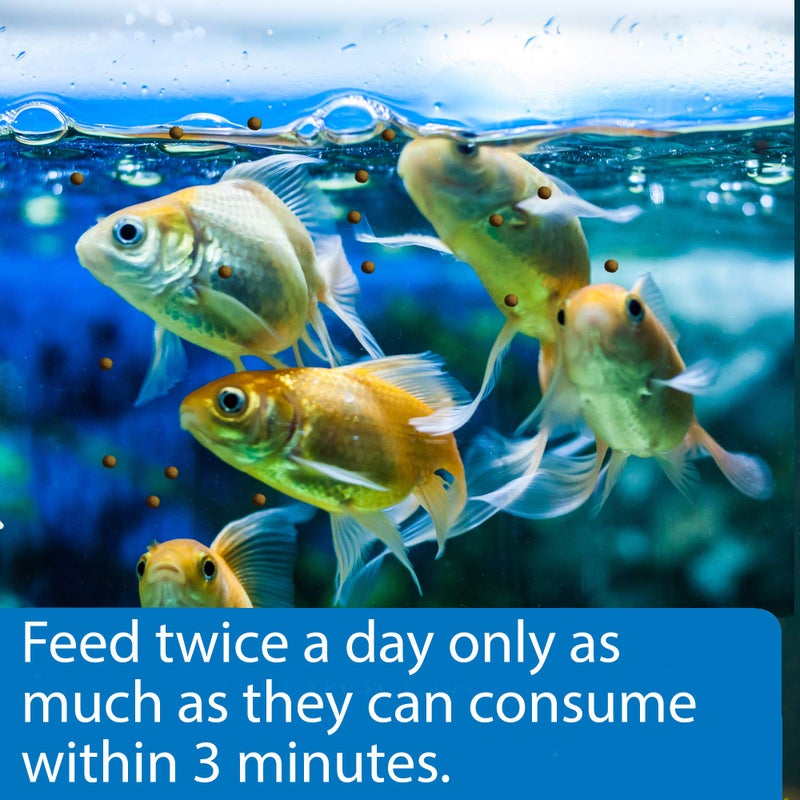 API GOLDFISH PELLETS Fish Food 4-Ounce Container, Medium, Model:833B - Image 3