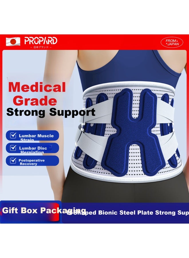 Propard Medical Grade Lumbar Support Belt Waist Brace For Lumbar Muscle Strain And Herniated Disc Back Brace For Prolonged Sitting - Image 1
