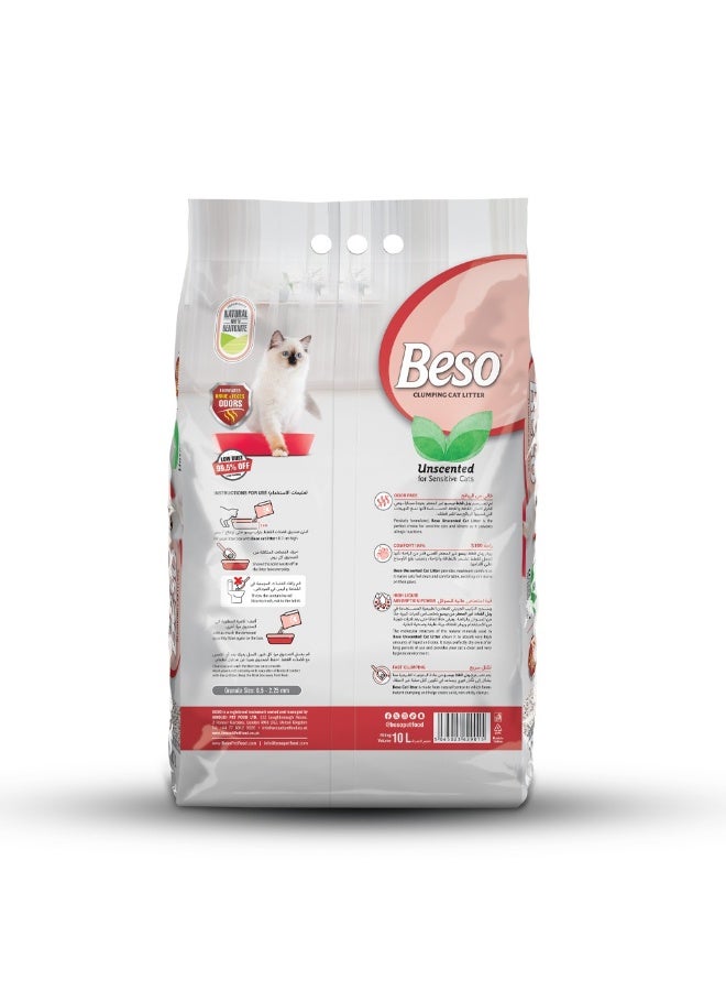 Beso Clumping Cat Litter Unscented – Strong Odor Control, Fast Clumping & Dust-Free Formula 10 k - Image 2
