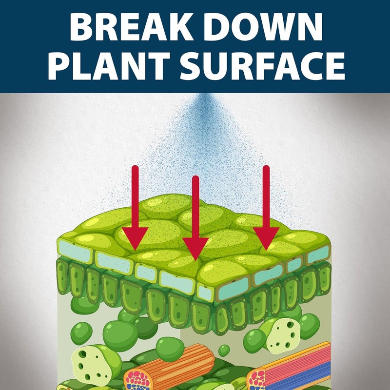 airmax Treatment Booster Plus Surfactant, Increases Effectiveness of Other Solutions & Penetrate Cuticle Break Water Surface Tension, 16 Ounces - Image 3