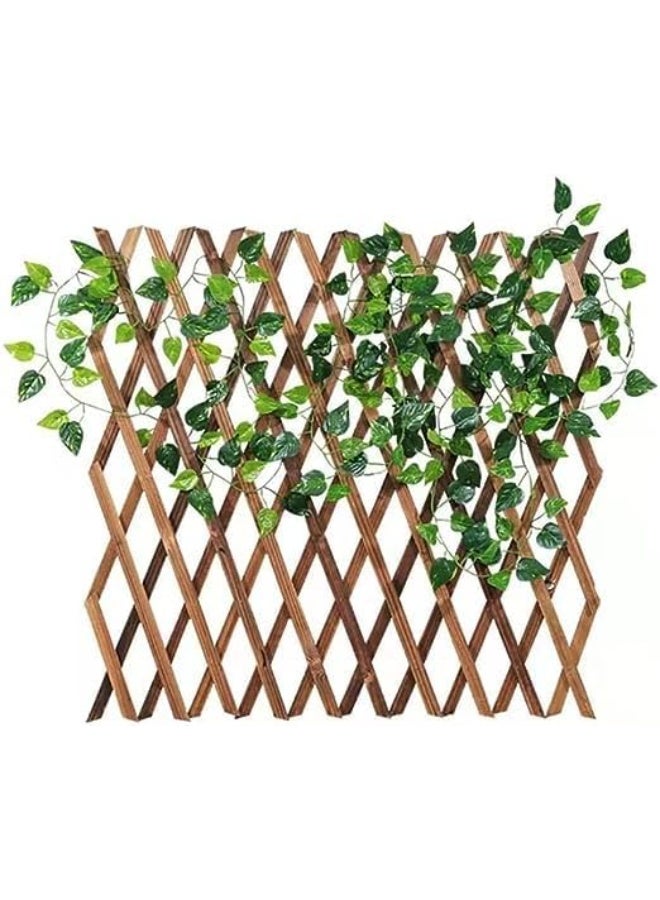 لوحة حائط سياج شبكي خشبي للحديقة - إطار تعريشة قابل للتمدد للنباتات المتسلقة واللبلاب والكروم - Image 1