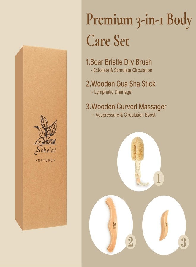 wokelai Dry Body Brush Set for Lymphatic Drainage, Natural Sisal Bristle Dry Brushing Body Brush, Wood Therapy Kit with Wooden Acupressure Massage Tools for Face and Body Gua Sha - Image 3