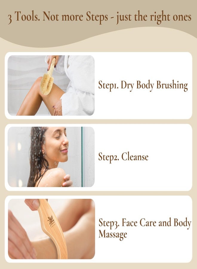 wokelai Dry Body Brush Set for Lymphatic Drainage, Natural Sisal Bristle Dry Brushing Body Brush, Wood Therapy Kit with Wooden Acupressure Massage Tools for Face and Body Gua Sha - Image 2