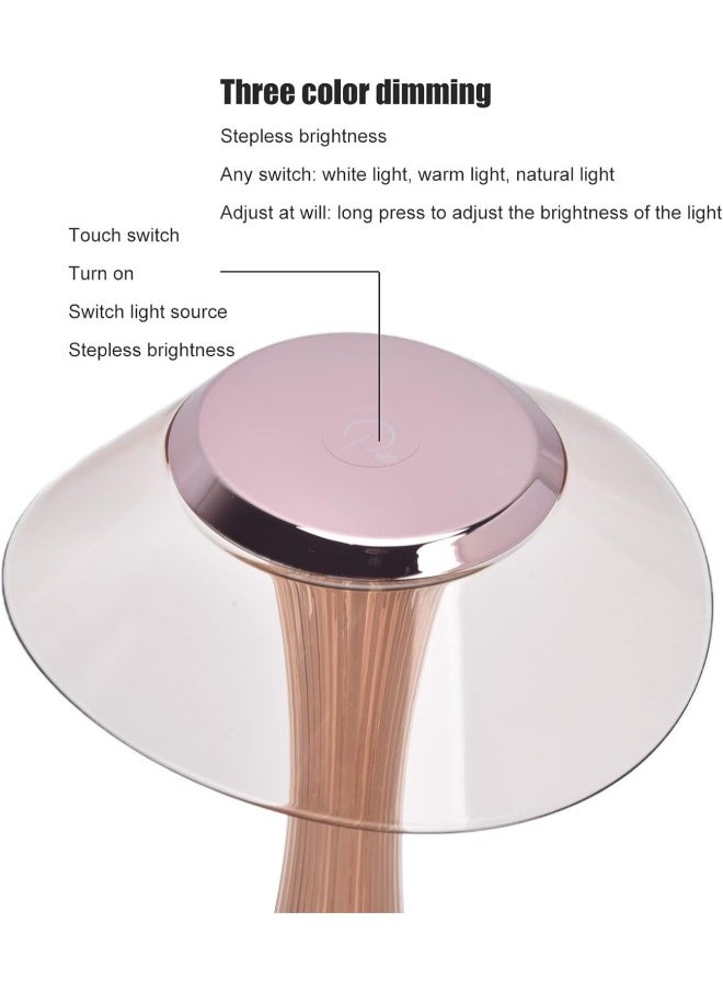 klarako - Table Lamp Small Waist LED Desktop Lamp Soft Dimming Reading Lamp Touch USB Charging Decorative Light White Light + Warm Light + Natural Light(Rose gold) - Image 1