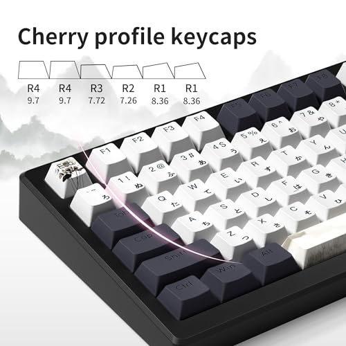 GMKWTL XVX Shine Through Keycaps, Japanese Ink Lotus Keycap Set, DoubleShot PBT Key caps with Dye-Sublimation, Cherry Profile Keyboard Keycaps for Gateron Cherry MX Switches Mechanical Keyboards - Image 5