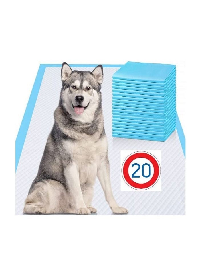 Cherry Medical Supply 20-Pieces Packed In 2 Pouches 60 Cm X 90 Cm Xl Pet Training Pads And Puppy Pads Super Absorbent  - Image 1