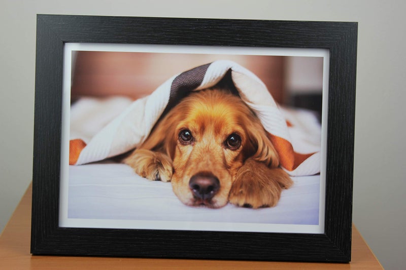 PPD 50 Sheets Inkjet High Gloss Photo Paper 8.5x11 64lbs 240gsm 10.9mil Letter Size Heavyweight Instant Dry and Water-Resistant (PPD-8-50) - Image 3