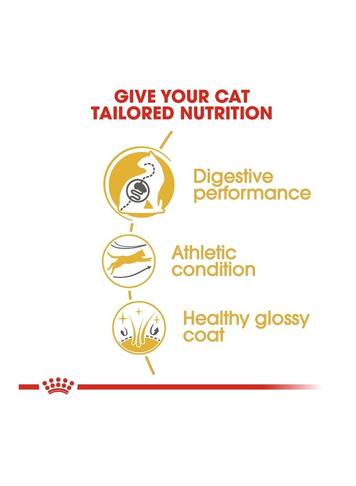 رويال كانين تغذية القطط البنغالية البالغة 2 كجم - Image 4