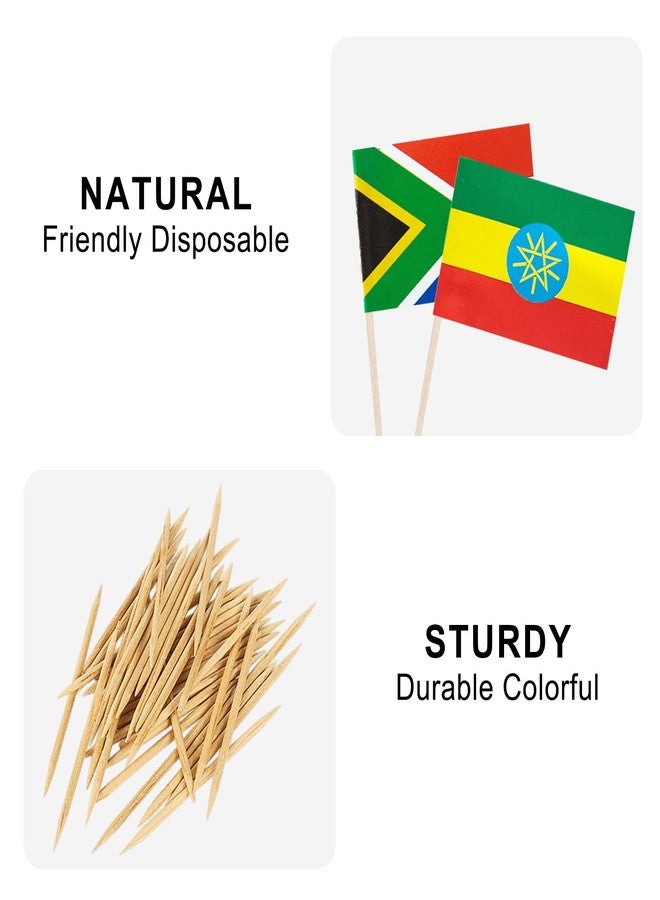 JBSJBS 54 Africa Countries Flag African National Cupcake Topper Flags Banner Mini Small Country World Toothpick Stick Flags Cake Party Festival Theme Decorations(108Pcs) - Image 3