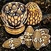 ARUOHHA DND Metal Dice Antique Gold Dragon Egg Dice with Rotating Dragon Egg Shell Role Playing Game RPG Polyhedral D and D Dice Set D20 D12 D10 D8 D6 D4 - Image 2