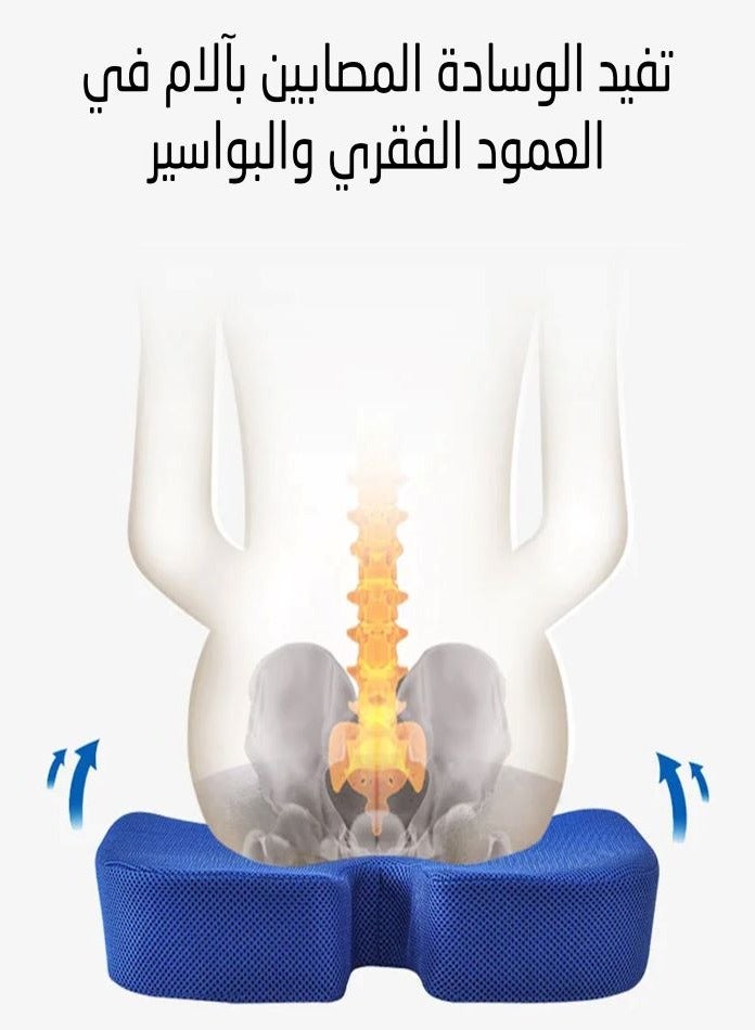 ARINA Ergonomic Seating Rest Uform To Support Back And Long Seating - Image 2