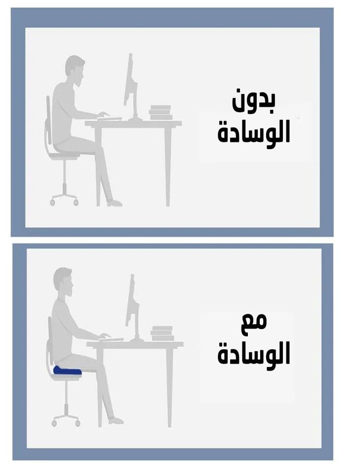 ARINA Ergonomic Seating Rest Uform To Support Back And Long Seating - Image 3
