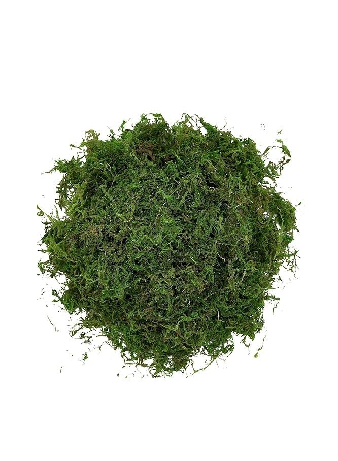 لينجوي 400 جرام من الطحالب الصناعية الخضراء المزيفة، عشب أخضر صناعي فاخر - Image 2