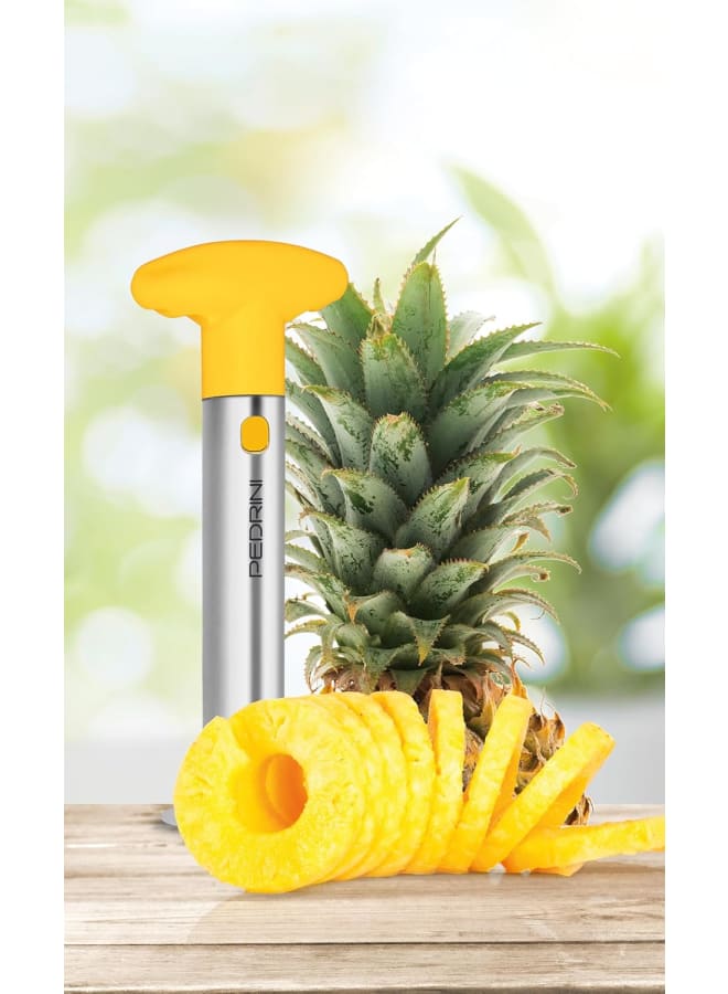 Pedrini Pinapple Slicer Color Box - Image 2