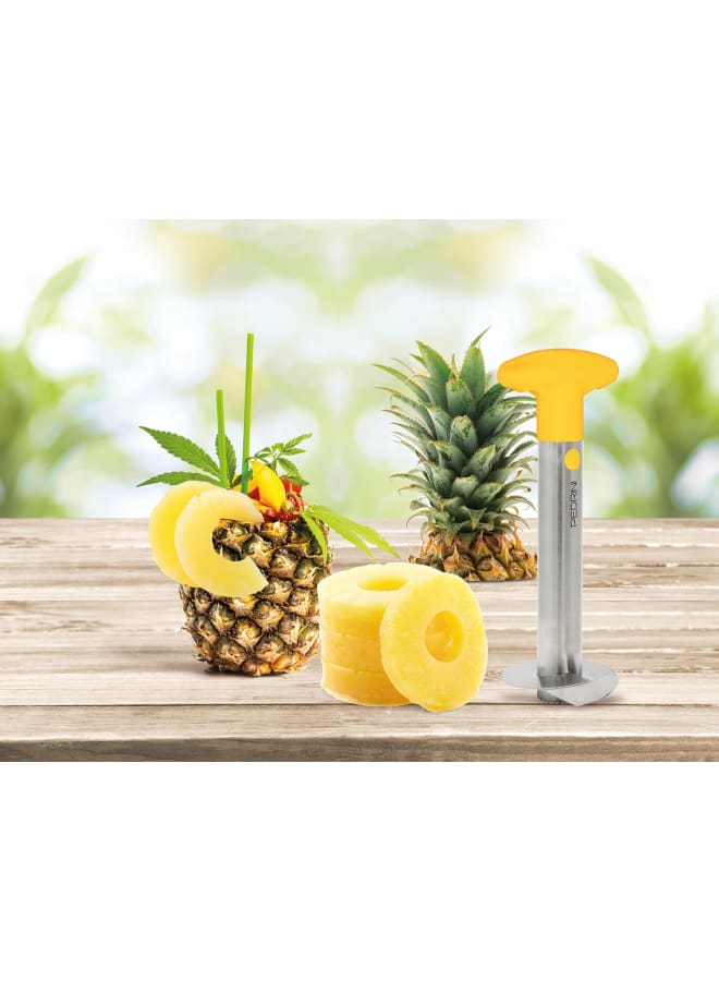 Pedrini Pinapple Slicer Color Box - Image 4