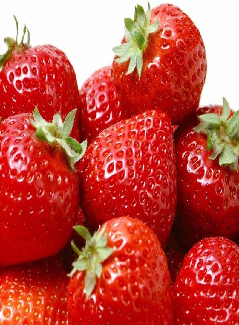 GGOOT 10 Large Strawberry Seeds Pack High Yield Sweet Fruit Flower Plants - Image 1