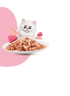 MOOCHIE Mochi Tuna Cat Food 70g  - Image 2
