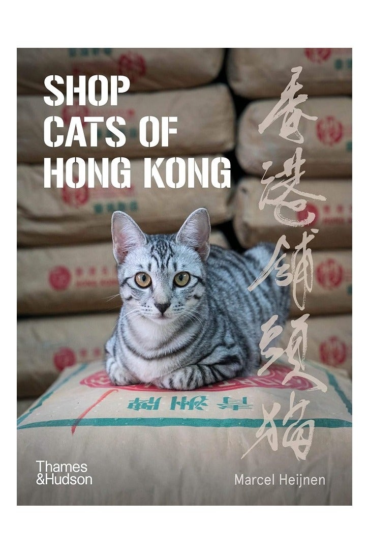 Shop Cats of Hong Kong