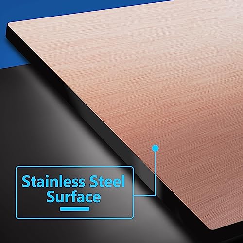 LIDER Double Blank Screwless MetalSurface Wall Plate Temperature and Impact Resistant Modern Decoration Upgrade MidSize 2Gang 488 x 492 UL Listed Stainless Steel Brushed Rose Gold 1Pack - Image 3