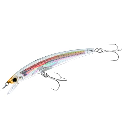 Yo-Zuri F1147 RGLM Crystal 3D Minnow (F) 130Mm 5-1/4" - Image 5
