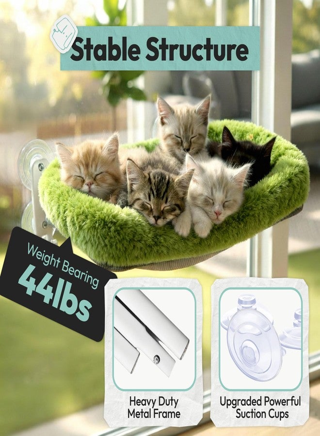 POMESEA Cordless Cat Window Perch, Foldable Cat Window Hammock, 4 Strong Suction Cups, Solid Metal Frame, Patented Hook Design, Cushion Green, L - Image 4