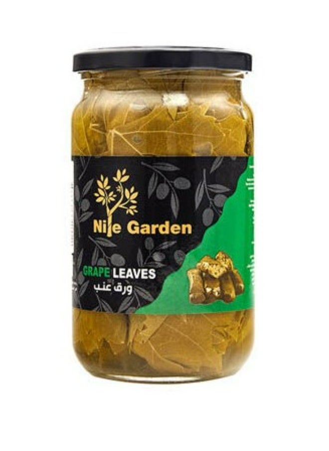 Grape Leaves - 630 grams - pzsku/Z4746E0FE5C60FAC7004FZ/45/_/1720710185/1b82396b-4a2f-4c53-8ac2-716dfedf484a