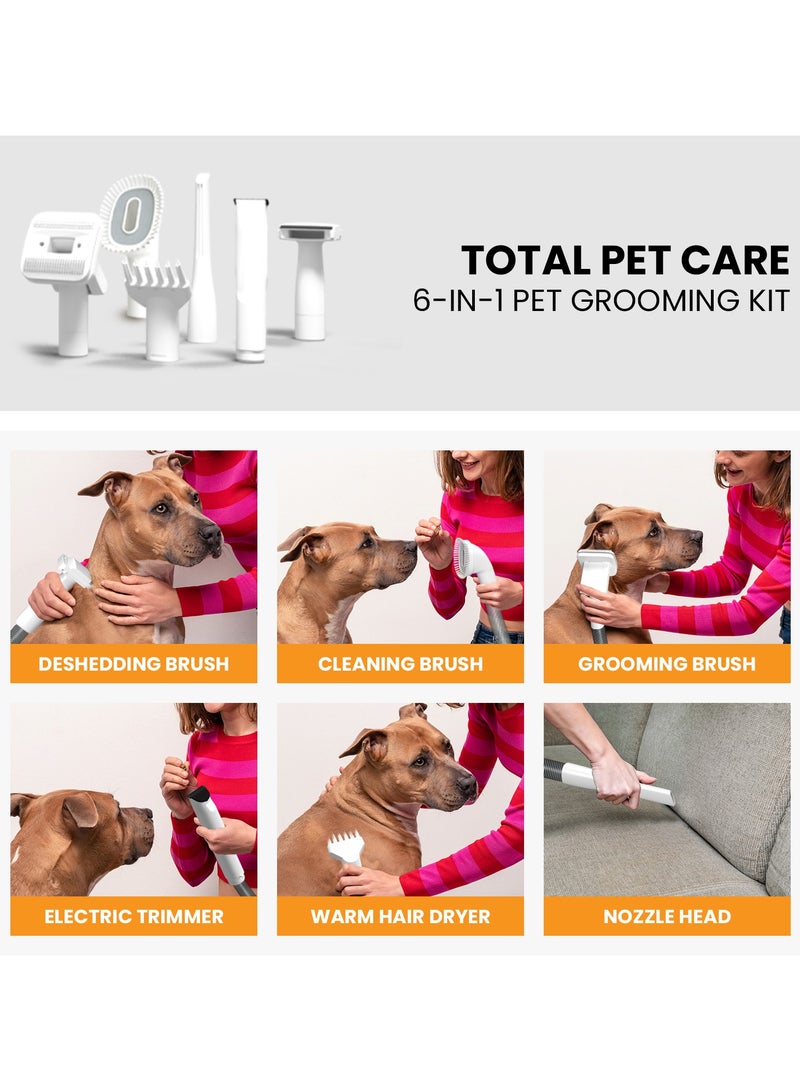 PetTerra Pet Terra FurCare Pro 3-in-1 Grooming Kit with Vacuum Suction (99%), Dryer, and Professional Clippers. Includes Tools for Efficient Pet Grooming, 4L Dust Cup, Low Noise. Ideal for Dogs, Cats & More! - Image 3