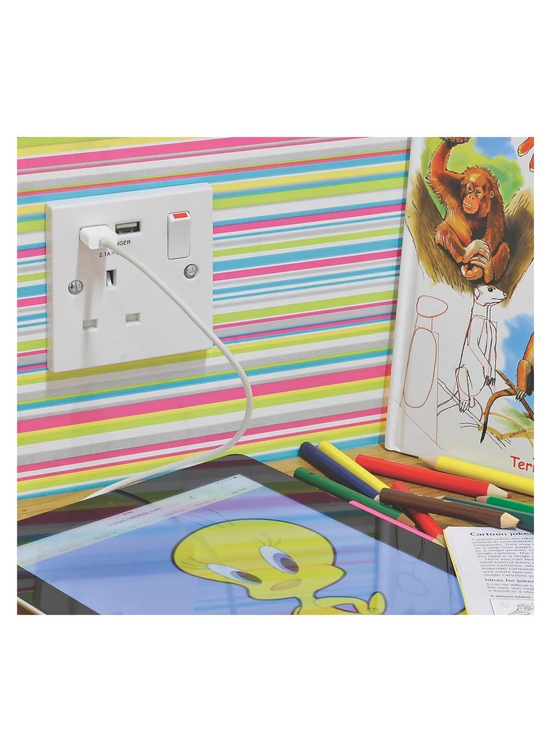 MASTERPLUG Wall Socket Single Switched DP With 2 x 1 USB Charger 2.1A - Image 4