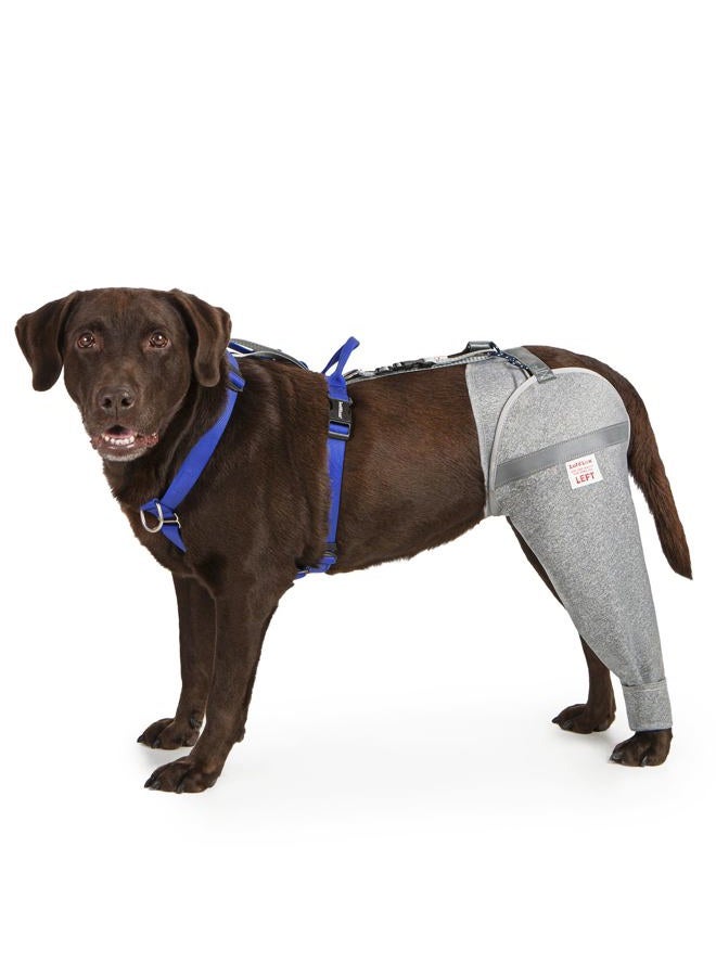 LufeLux Dog Leg Sleeve for Stop Licking & Post-Surgery Recovery | Protects Injured Real Legs from Excessive Licking & Scratching | Cone Alternative with Breathable Fabric | Easy to Use (Grey, X-Large) - Image 1