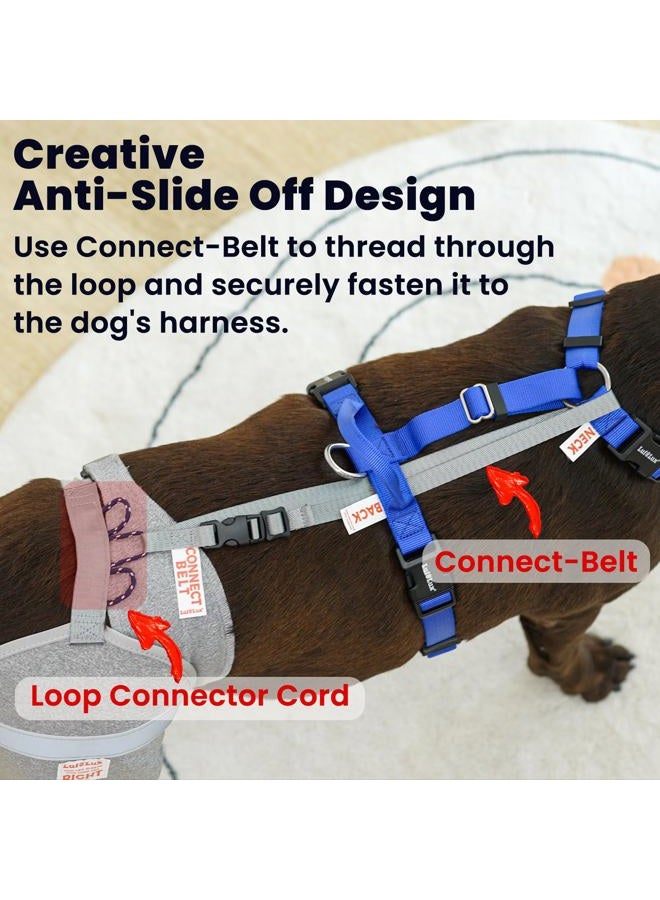 LufeLux Dog Leg Sleeve for Stop Licking & Post-Surgery Recovery | Protects Injured Real Legs from Excessive Licking & Scratching | Cone Alternative with Breathable Fabric | Easy to Use (Grey, X-Large) - Image 5