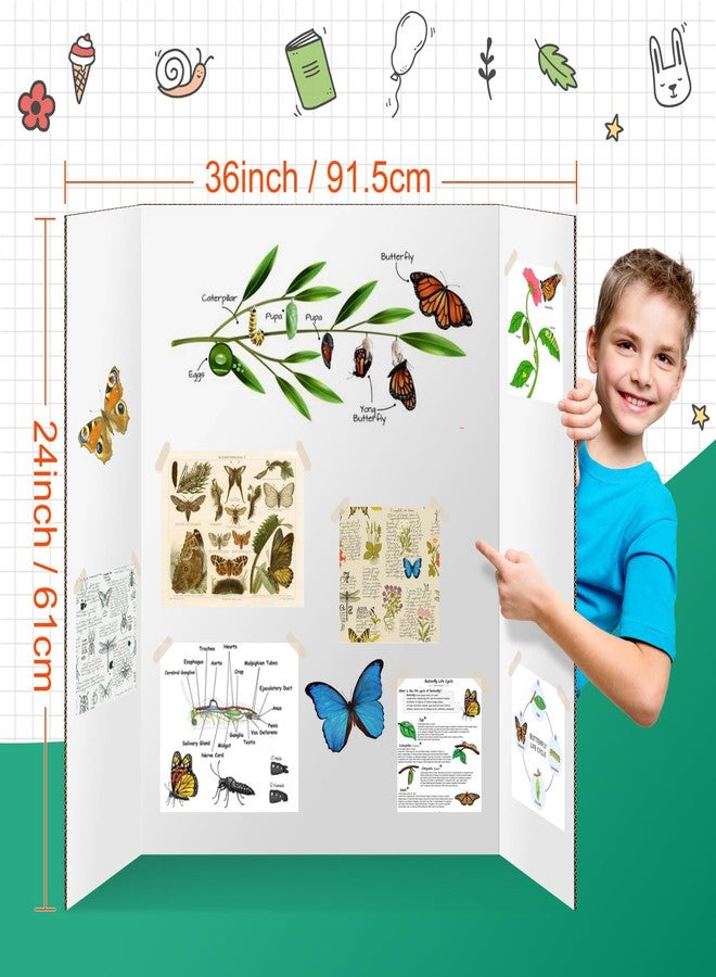 IKAYAS لوحتان ثلاثيتان الطي، من إيكاياس، مقاس 24 × 36 بوصة، لوحتان أبيضتان مزدوجتا الجوانب ثلاثيتان الطي، لوحات عرض للمعارض العلمية، لوح فوم للتركيب، الفنون، العرض، المشاريع، لوازم الفصل الدراسي - Image 2