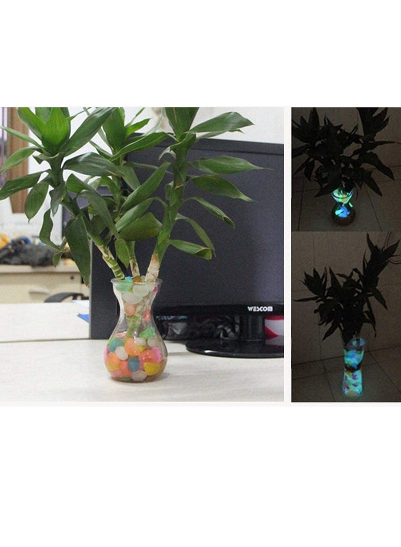 Generic 300pcs Glow In The Dark Garden Pebbles Stones for Walkway Yard Graved Fish Tank Plant Pot Decoration (Mixed Colors)  - Image 4