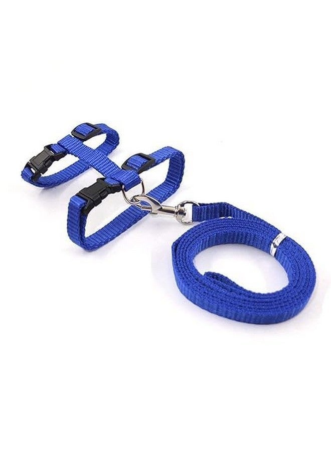 حزام تسخير من النايلون مطبوع عليه طوق مع مقود وخطاف قابل للتعديل ومجموعة تسخير للجسم للقطط والقطط الصغيرة أثناء المشي والتدريب في الهواء الطلق (قد يختلف اللون والنمط) - Image 4