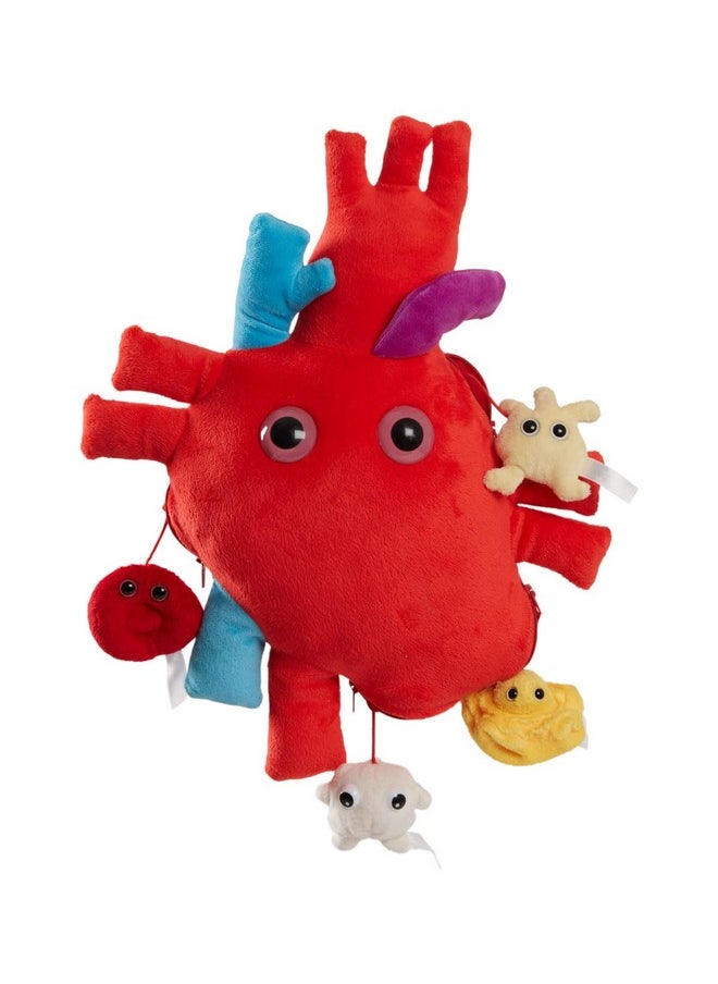Giant Microbes Giantmicrobes Deluxe Heart Organ With Plush Blood Cells Realistic Anatomical Human Heart Organ Perfect Way To Say I Love You Educational Medical Get Well Soon Gift Perfect For Postsurgery  - Image 2