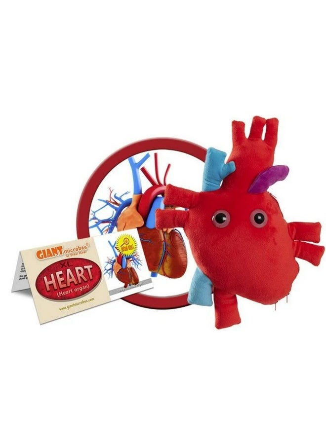 Giant Microbes Giantmicrobes Deluxe Heart Organ With Plush Blood Cells Realistic Anatomical Human Heart Organ Perfect Way To Say I Love You Educational Medical Get Well Soon Gift Perfect For Postsurgery  - Image 3