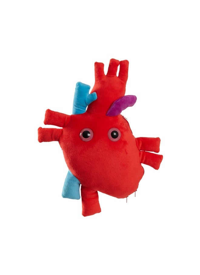 Giant Microbes Giantmicrobes Deluxe Heart Organ With Plush Blood Cells Realistic Anatomical Human Heart Organ Perfect Way To Say I Love You Educational Medical Get Well Soon Gift Perfect For Postsurgery  - Image 4