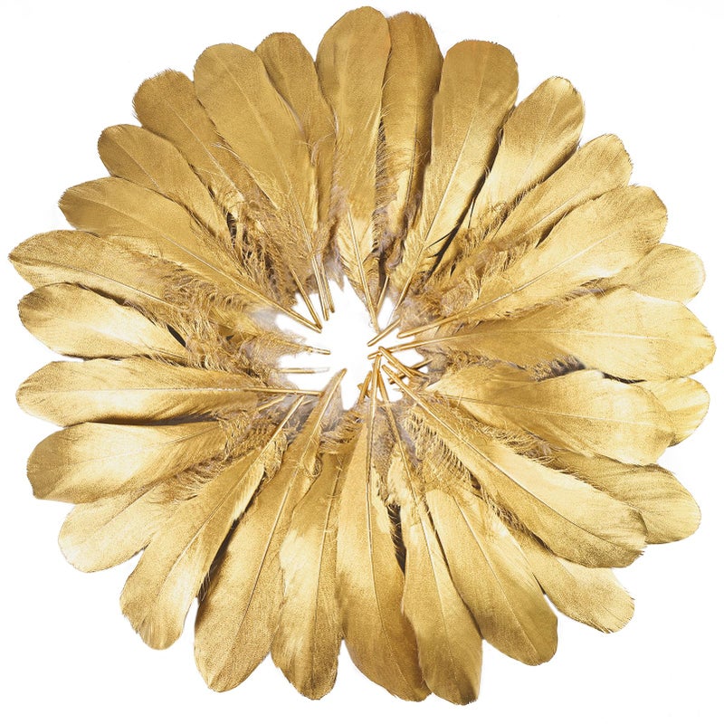 FeelfunFeather 120pcs Gold Goose Feathers 6-8 Inch 15-20cm Decorative Natural Goose Nagoire Feather Bulk for DIY Crafts Cosplay Wedding Party Christmas Halloween Home Decoration - Image 1