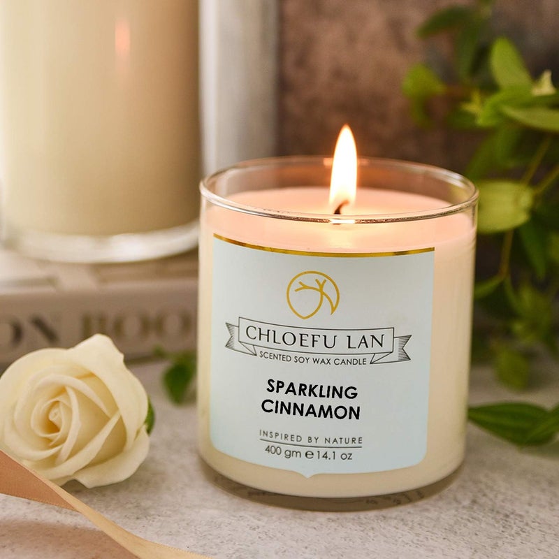 Chloefu LAN Sparkling Cinnamon Scented Candles Autumn Candles Gifts for Men, Premium Soy Candle Wax with up to 100 Hour Burn Time,Highly Scented,Large Candles for Home Scented Large Jar, 14.1oz - Image 2