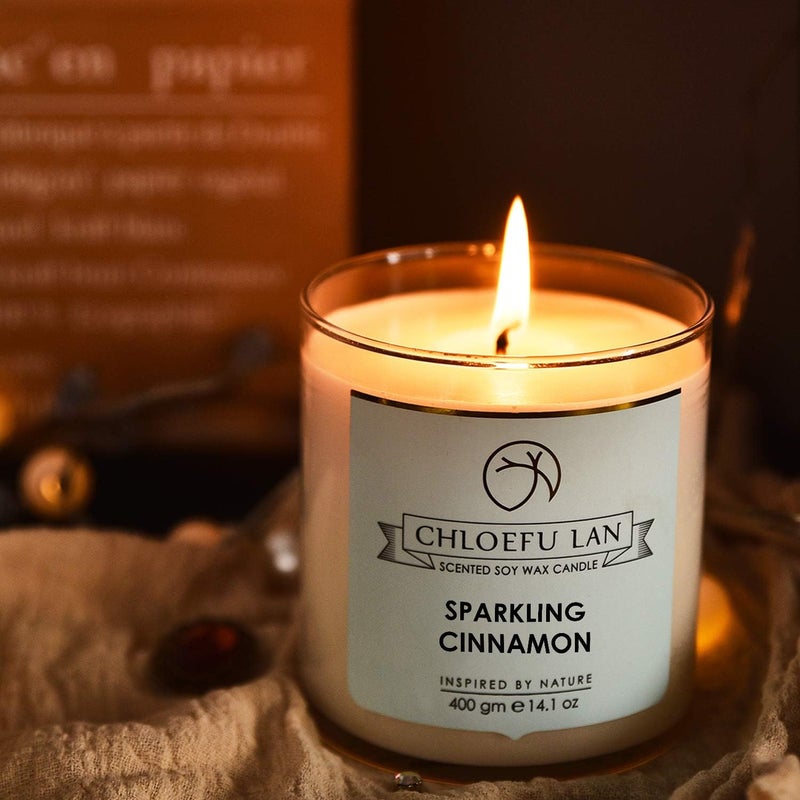 Chloefu LAN Sparkling Cinnamon Scented Candles Autumn Candles Gifts for Men, Premium Soy Candle Wax with up to 100 Hour Burn Time,Highly Scented,Large Candles for Home Scented Large Jar, 14.1oz - Image 3
