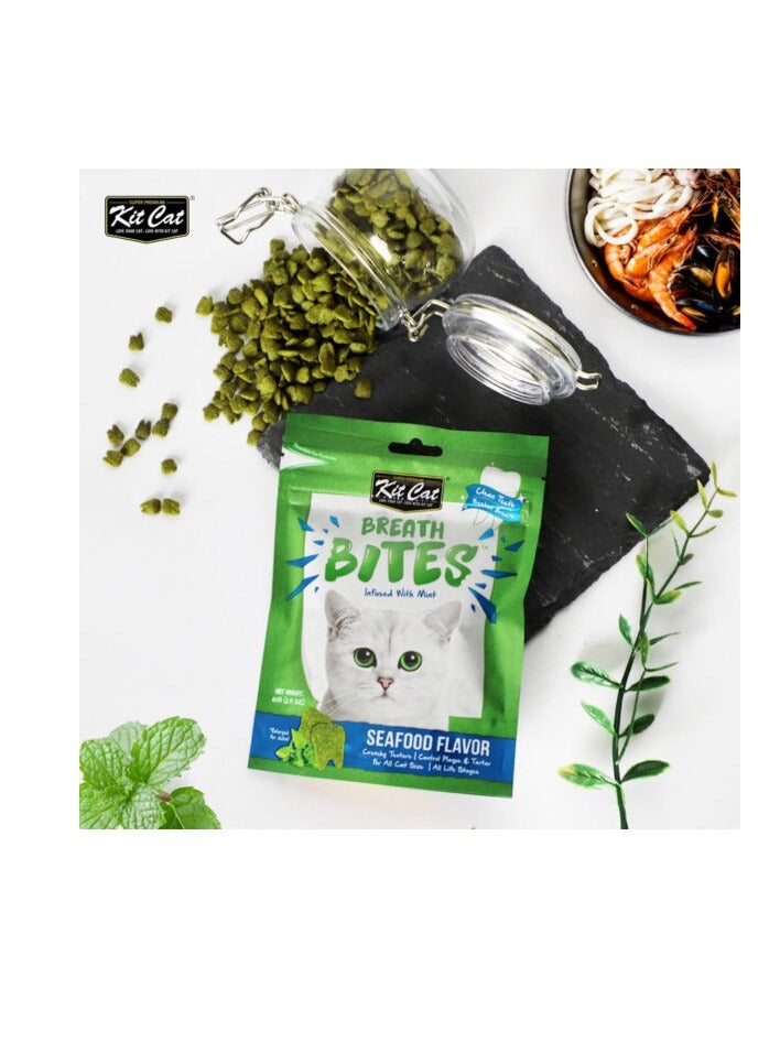 كيت كات لقيمات التنفس بنكهة المأكولات البحرية 60 جرام - Image 2