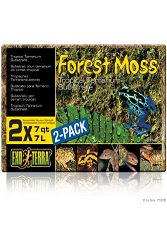 Exo Terra Exo Terra Forest Moss 2 x 7qt / 2 x 7L 