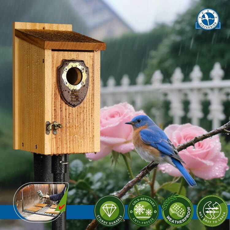 SISTERBIRD Pack of 2 Bluebird Houses for Outside, Premium Wooden Bird House, Bluebird House for Outdoor, Courtyard Decoration Bird Nest, Bluebird Finch Swallow Wren Chickadee - Image 5