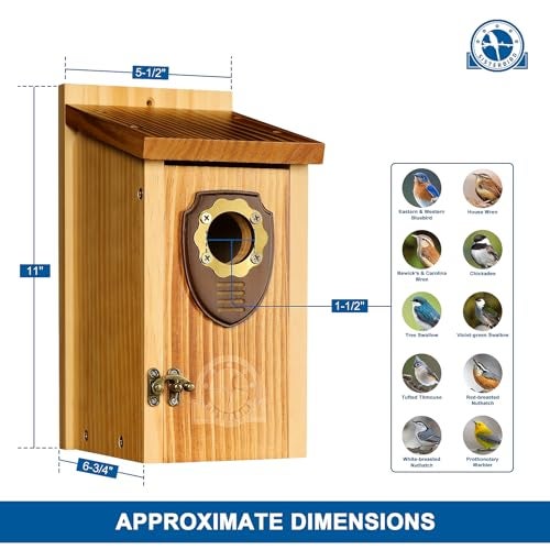 SISTERBIRD Pack of 2 Bluebird Houses for Outside, Premium Wooden Bird House, Bluebird House for Outdoor, Courtyard Decoration Bird Nest, Bluebird Finch Swallow Wren Chickadee - Image 3