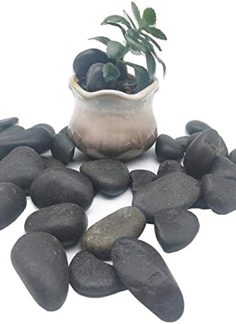 Generic Black Pebbles River Stones for Plants, Succulent Soil Cover, Crafts, 5lbs 