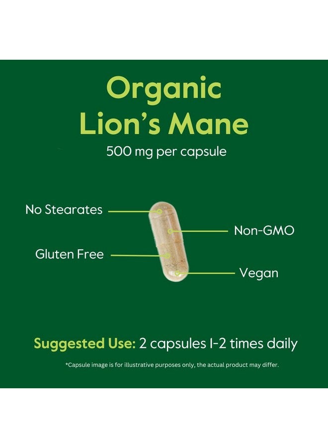 BESTVITE BESTVITE Organic Lion's Mane 500mg (120 Veggie Capsules) - No Stearates - Vegan - Non GMO - Gluten Free - Certified Organic Lion's Mane - Image 5