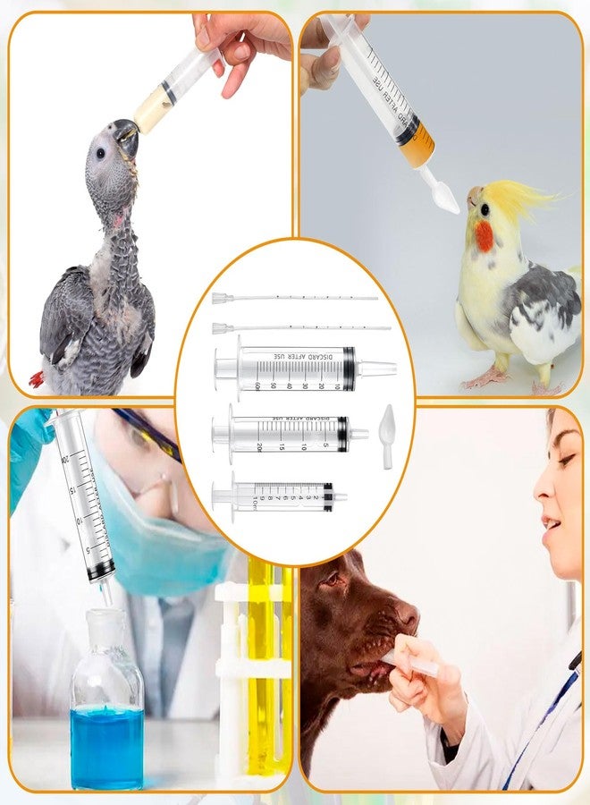 LhyBtm Baby Bird Feeding Syringe Set Baby Bird Parrot Small Pet Manual Feeding Syringe Set for Parrot Small Pet Syringe with Spoon Tip & Tubes (10ml+10ml+20ml+60ml) - Image 5