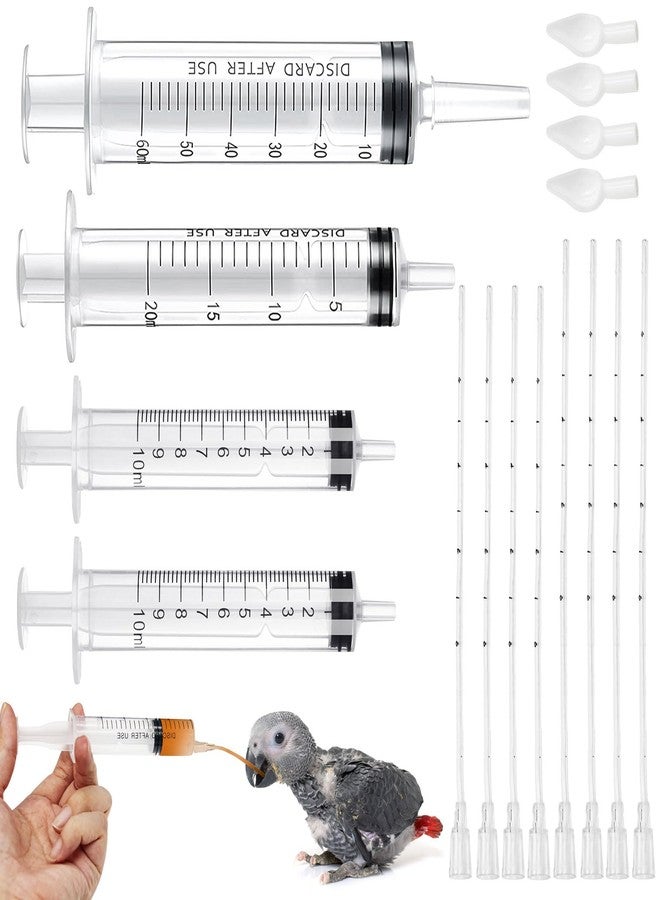 LhyBtm Baby Bird Feeding Syringe Set Baby Bird Parrot Small Pet Manual Feeding Syringe Set for Parrot Small Pet Syringe with Spoon Tip & Tubes (10ml+10ml+20ml+60ml) - Image 1