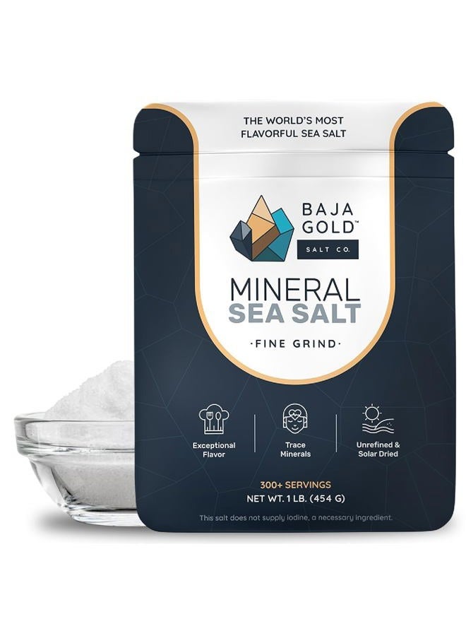 Baja Gold Mineral Sea Salt - Recommended by Gary Brecka - Authentic Fine Grind Salt for Cooking & Baking | Natural Baja Salt for Culinary Uses | Great for Finishing Dishes | 1 lb. Resealable Bag, 300+ - Image 1