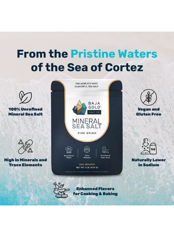 Baja Gold Mineral Sea Salt - Recommended by Gary Brecka - Authentic Fine Grind Salt for Cooking & Baking | Natural Baja Salt for Culinary Uses | Great for Finishing Dishes | 1 lb. Resealable Bag, 300+ - Image 5