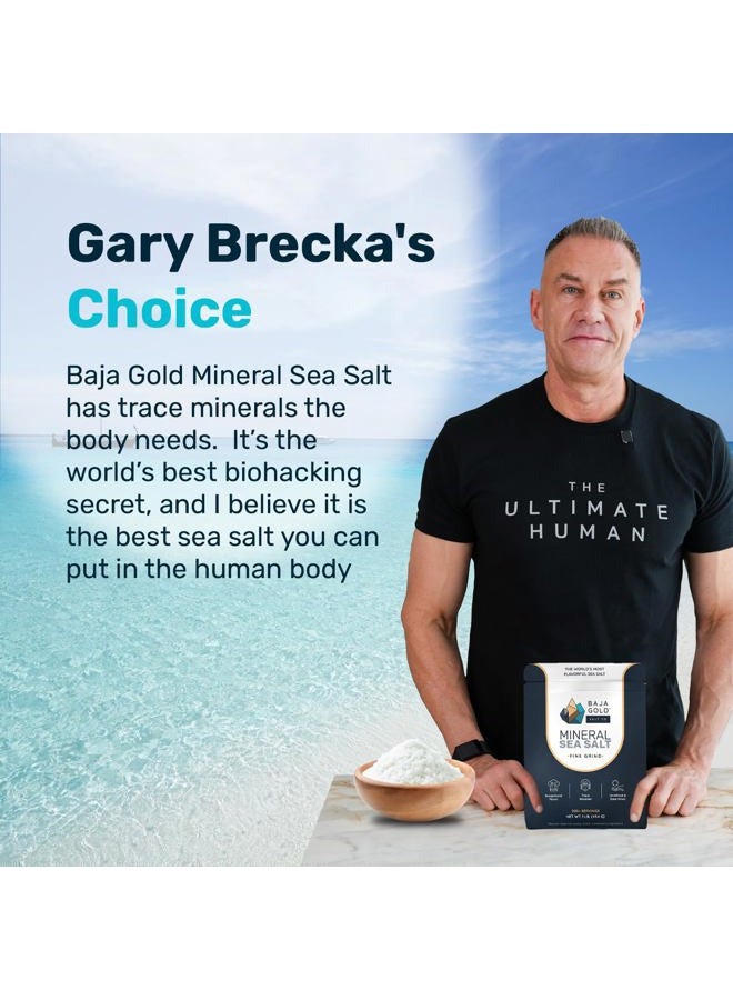Baja Gold Mineral Sea Salt - Recommended by Gary Brecka - Authentic Fine Grind Salt for Cooking & Baking | Natural Baja Salt for Culinary Uses | Great for Finishing Dishes | 1 lb. Resealable Bag, 300+ - Image 2